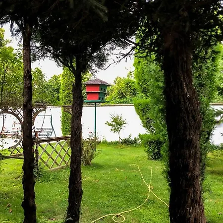 Cozy Room With A Garden * بلوفديف